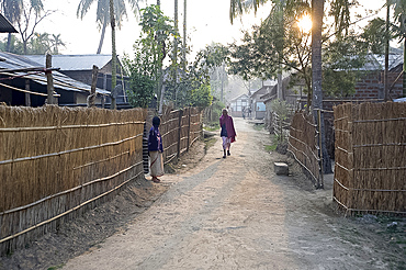 Assamese village, Kurua, very early morning, Brahmaputra, Assam, India, Asia