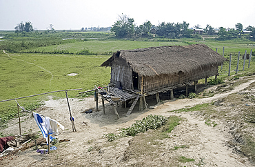 Mishing tribal village house, Majuli Island, largest freshwater riverine island in the world, in the Brahmaputra River, Assam, India, Asia