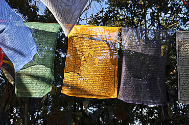 Buddhist prayer flags hanging near the Mahakal Buddhist Monastery, Observatory Hill, Darjeeling, West Bengal, India, Asia