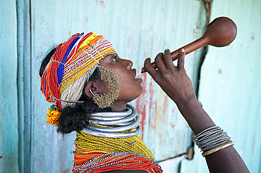 Bonda tribeswoman in traditional costume with beaded cap, large earrings and metal necklaces drinking village alcohol from gourd, Rayagader, Orissa, India, Asia