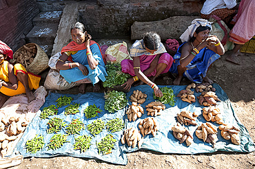 Mali tribeswomen selling chillies and sweet potatoes at weekly market, Rayagader, Orissa, India, Asia