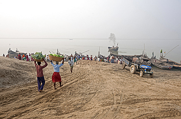 Two men carrying baskets of cauliflower and pumpkins on their heads, down to boats on the River Ganges, Sonepur, Bihar, India, Asia