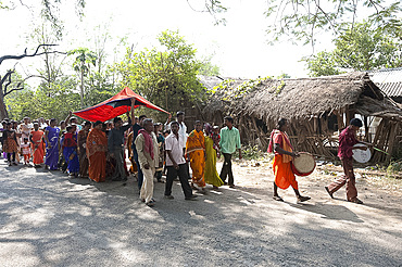 Drummers leading village bride under red canopy to her marriage ceremony in a procession with family and villagers, rural Orissa, India, Asia