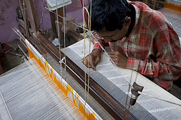 Weaver working in unique Ramdani method, using both domestic loom and needles, weaving undyed cotton lawn, Kalna, West Bengal, India, Asia