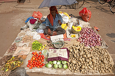 Village vegetable seller, Bhubaneshwar district, Orissa, India, Asia