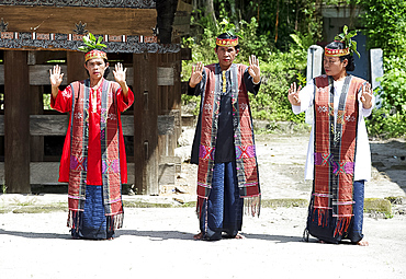 Three Batak tribeswomen in tribal costume performing traditional dance, Huta Bolon, Simanindo, Sumatra, Indonesia, Southeast Asia, Asia