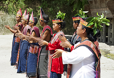 Batak tribespeople in traditional dress performing local dance, Huta Bolon, Simanindo, Sumatra, Indonesia, Southeast Asia, Asia