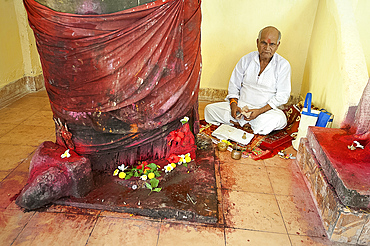 Temple worshipper sitting in contemplation at decorated tree shrine in the Bhuvaneshwari temple, Guwahati, Assam, India, Asia