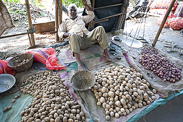 Aloo wallah (potato seller) relaxing with his locally grown potatoes at his market stall, Guwahati, Assam, India, Asia