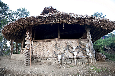 Village Gurung (boys dormitory) decorated with carved wooden pillars and animal skulls, where tribal boys are trained to manhood, Ngangting, Nagaland, India, Asia