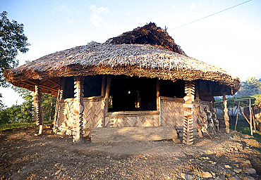 Village Gurung (boys dormitory) decorated with carved wooden pillars and animal skulls, where tribal boys are trained to manhood, Ngangting, Nagaland, India, Asia