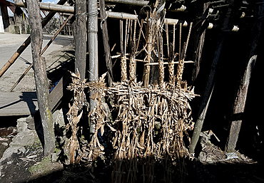 Animist Donyi Polo shrine to the gods, made from bamboo and maize leaves, in Apatani village, Ziro, Arunachal Pradesh, India, Asia