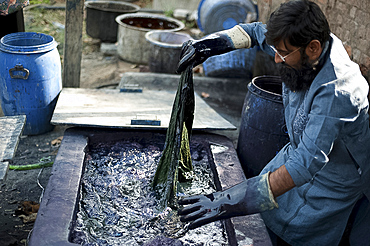 Muslim dye master immersing block printed cotton fabric in hot indigo solution for dyeing, Bhuj district, Gujarat, India, Asia