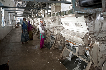 Female factory workers managing machinery in cotton processing factory, Rajkot district, Gujarat, India, Asia