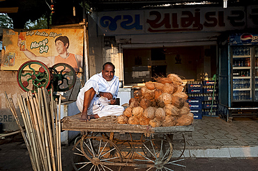 Relaxed man in white dhoti selling coconut milk and sugar cane juice from simple wooden cart, Rajkot district, Gujarat, India, Asia