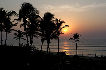 Sun rising over the waters of the Bay of Bengal, through coconut palm trees, Gopalpur on Sea, Orissa (Odisha), India, Asia