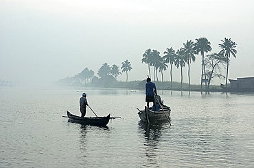 Local villagers paddle shell dredging canoes at sunrise on the backwaters, Alleppey District, Kerala, India