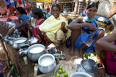 Smiling Mali tribeswomen with gold noserings selling yoghourt from metal pots in Mali weekly tribal market, Guneipada, Orissa (Odisha), India, Asia