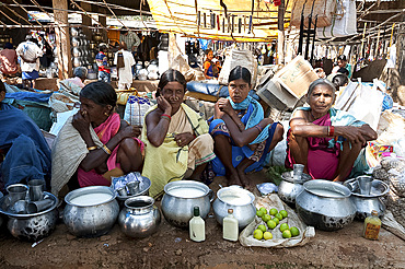 Mali tribeswomen with gold noserings selling yoghourt from metal pots in Mali weekly tribal market, Guneipada, Orissa (Odisha), India, Asia