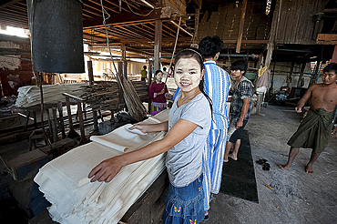 Smiling woman with thanaka paste on her face, folding sheets of pressed, cooked rice in rice noodle factory, Hsipaw, Shan state, Myanmar (Burma), Asia