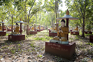 Maha Bodhi Ta Htaung, 1000 great Bo trees planted, each with a Buddha statue next to it, Monywa township, Sagaing Division, Myanmar (Burma), Asia