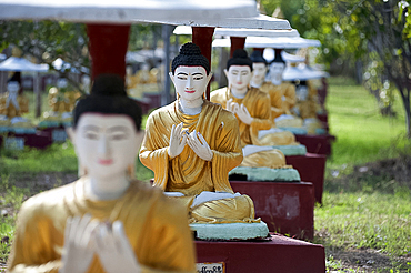 Buddha statues each planted alongside a Bo tree in Maha Bodhi Ta Htaung, 1000 great Bo trees, Monywa township, Sagaing Division, Myanmar (Burma), Asia