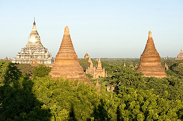 Terracotta temples of Bagan, founded in the 9th century, in the late afternoon sunlight, Bagan (Pagan), Mandalay division, Myanmar (Burma), Asia