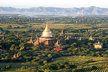 The golden stupa of Dhammayazika Pagoda amongst some of the other terracotta Buddhist temples in Bagan (Pagan), Mandalay Division, Myanmar (Burma), Asia