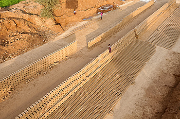 Hand made bricks laid out on the ground to dry before baking, northeast of Jaipur, Rajasthan, India, Asia