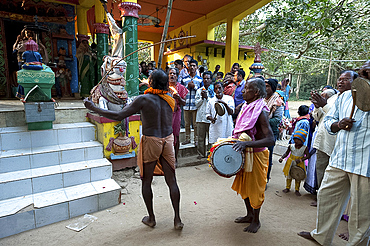 Shaman in altered state of consciousness with Shamanic drummer and cymbal, performing problem-solving ritual in Hindu temple, Kurkuri, Odisha, India, Asia