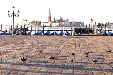 Gondolas moored on the Lagoon, San Giorgio Maggiore beyond, Riva degli Schiavoni, Venice, UNESCO World Heritage Site, Veneto, Italy, Europe