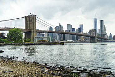 Brooklyn Bridge and Lower Manhattan skyscrapers including One World Trade Center from Brooklyn Bridge Park, New York City, United States of America, North America