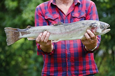 Fisherman with a large trout caught at a lake, Haute-Savoie, France, Europe