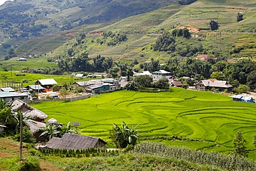 Rice fields on terraces, Sapa, Vietnam, Indochina, Southeast Asia, Asia