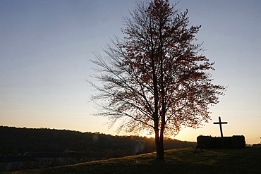 Tree and cross at dusk at Le Bec Hellouin, Eure, Normandy, France, Europe