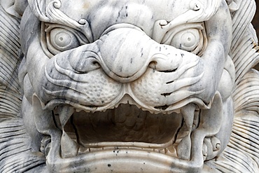 Long Khanh Buddhist Pagoda, Imperial guardian lion statue at entrance, Quy Nhon, Vietnam, Indochina, Southeast Asia, Asia