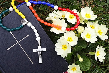 Bible on the grass with primrose at springtime, France, Europe