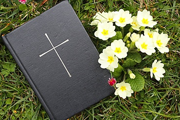 Bible on the grass with primrose at springtime, France, Europe