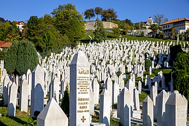 Martyrs' Memorial Cemetery Kovaci, the main cemetery for soldiers from the Bosnian Army, Stari Grad, Sarajevo, Bosnia, Europe