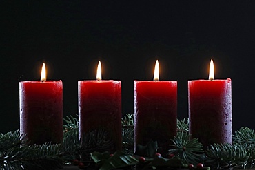 Natural Advent wreath or crown with four burning red candles, Christmas composition, France, Europe