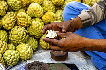 Custard apples sold in Mumbai, India, Asia