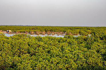 Ancient granaries on an island among mangrove trees, Joal-Fadiouth, Senegal, West Africa, Africa