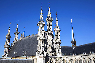 Saint Peter Collegiate Church, Leuven, Flanders, Belgium, Europe