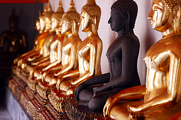 Row of golden Buddha statues, earth witness gesture, Wat Pho (Temple of the Reclining Buddha), Bangkok, Thailand, Southeast Asia, Asia