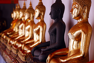 Row of golden Buddha statues, earth witness gesture, Wat Pho (Temple of the Reclining Buddha), Bangkok, Thailand, Southeast Asia, Asia