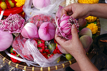 Flower garlands as temple offerings for Hindu ceremony, Indian flower shop at Sri Maha Mariamman Temple, Bangkok, Thailand, Southeast Asia, Asia