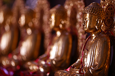 Wooden statue of Siddhartha Gautama (the Buddha), Van Hanh Zen Buddhist Monastery, Dalat, Vietnam, Indochina, Southeast Asia, Asia