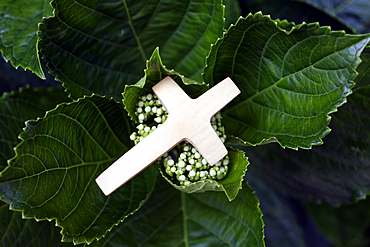 Religious symbol of prayer in nature, Christian cross on green leaves, Vietnam, Indochina, Southeast Asia, Asia