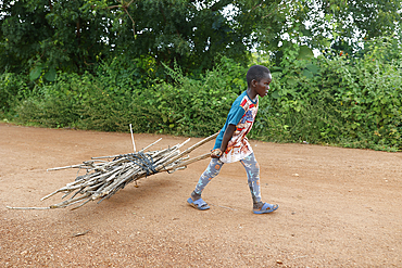 Boy fetching wood in Takpatchiomey, Couffo, Benin