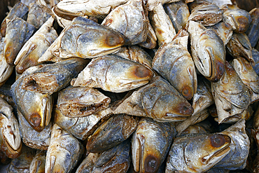 Heads of dry fish for sale at local market. An Giang Province. Mekong Delta, Vietnam.